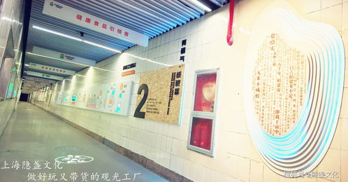 千年炒饭飘香处，文旅融合新地标——浙江海通食品集团炒饭观光工厂画室探访