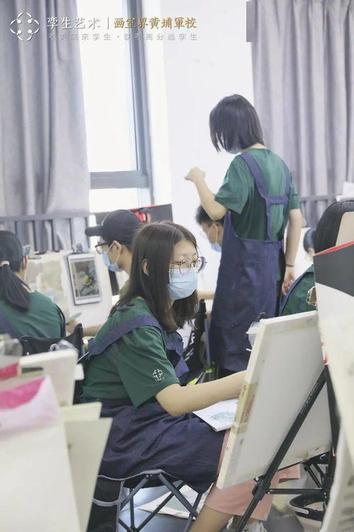 孪生画室三美精品校区成长日记 不动声色地悄然成长